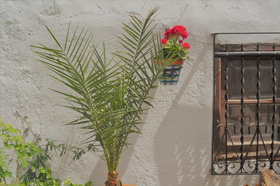 Rumah desa El Soto De Roma